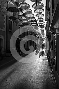 Hanging umbrellas as decoration above narow street in Novigrad in black and white, Croatia, Europe