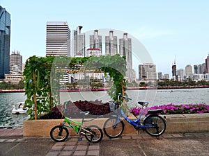 Hanging vegetable garden in center city public park