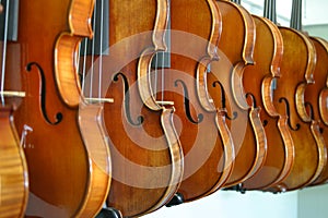 Hanging Violins photo