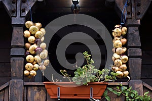 Hanging white and red  onion bulbs