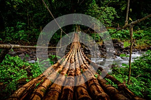 Hanging wooden bridge