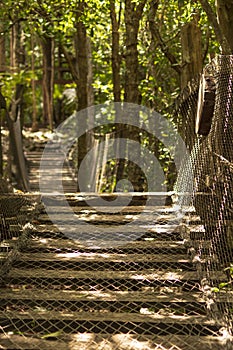 Hanging wooden bridge across the rainforest