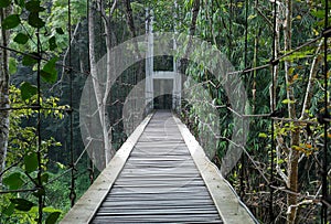 Hanging wooden bridge and green forest in the background at Khao Chan Waterfall Ratchaburi,