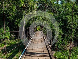 Hanging wooden bridge head to the rainforest