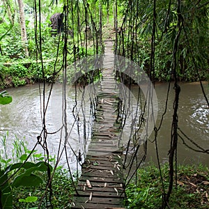 Hanging wooden bridge in the Jungle.