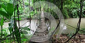 Hanging wooden bridge in lush greens in the.
