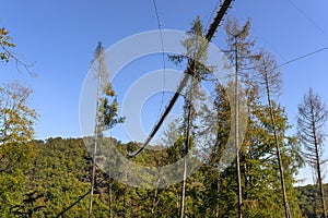 A hanging wooden bridge with steel ropes viewed from below against a blue sky, visible tourists on the bridge.