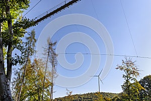 A hanging wooden bridge with steel ropes viewed from below in the background gestures of forest and wind turbines.