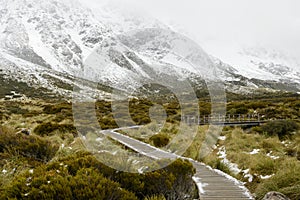 Hanging wooden pathway protects mountain ecosystem at Valley Track