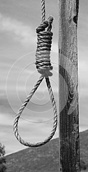 Hangman's Noose