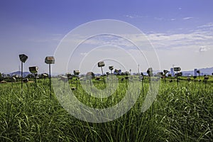 Hangul Park in Seoul