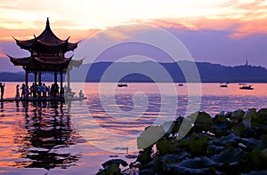 Hangzhou west lake sunset lotus pond GuTing cool