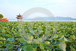 Hangzhou West Lake, Zhejiang, China