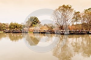 hangzhou xixi wetland of autumn scenery