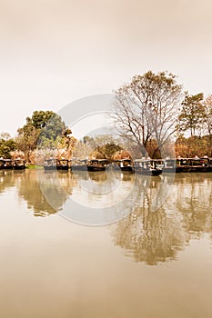 hangzhou xixi wetland of autumn scenery photo