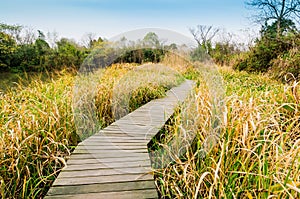 Hangzhou xixi wetland park boardwalk