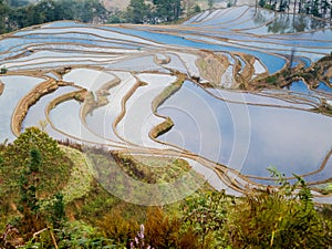 Hani Rice terraces Yuanyang, China
