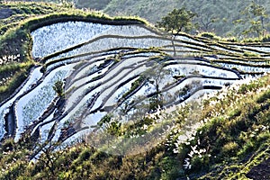 Hani terrace,Yunnan,China013