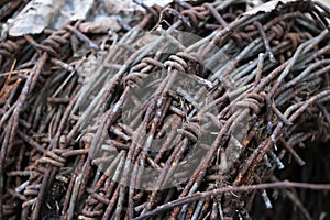 A hank of rusty old barbed wire lies in a forest on dry leaves