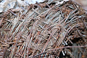 A hank of rusty old barbed wire lies in a forest on dry leaves