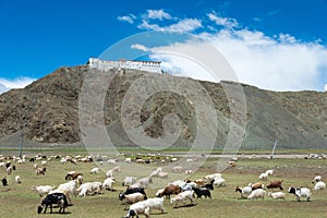 Hanle Monastery Hanle Gompa in Hanle, Ladakh, Jammu and Kashmir, India