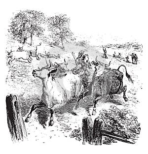 Hannah Erwin Israel Saving the Cattle,vintage illustration