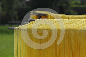 Hanoi, Vietnam,: arrowroot vermicelli- a special Vietnamese noodles are being dried on bamboo fences going along