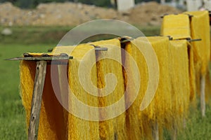 Hanoi, Vietnam,: arrowroot vermicelli- a special Vietnamese noodles are being dried on bamboo fences going along