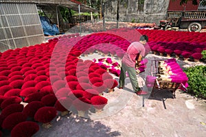 Hanoi, Vietnam - July 28, 2017: Incense sticks drying outdoor with Vietnamese worker working on the yard