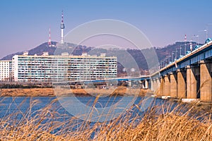 Hanriver in Seoul City, South korea. grass blur
