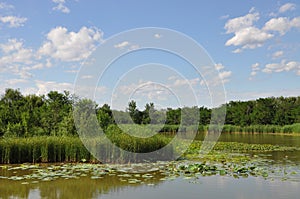 Hanshiqiao Wetland Nature Reserve in Beijing