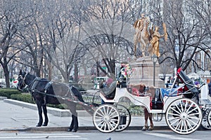 Hansom Cab in Central Park New York City
