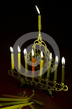 Hanuka candles in hanukkiya