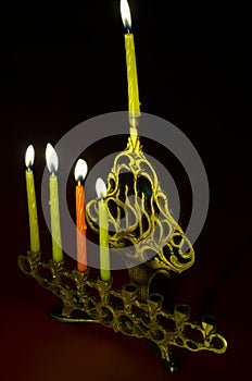 Hanuka candles in hanukkiya photo