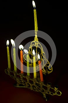 Hanuka candles in hanukkiya