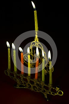 Hanuka candles in hanukkiya photo