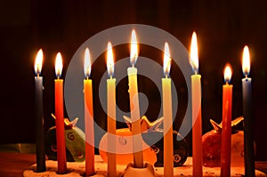 Hanukah candles