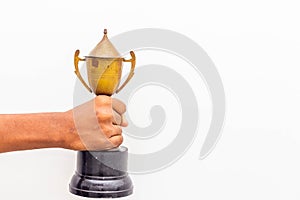 Happiness & achievement concept - Man holding winner trophy on his hand isolated on white background. Man holding a champion Gold