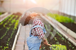 Happiness child little girl enjoy happy play as farmer plant the tree in vegetables garden farm