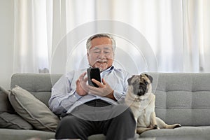 Happiness elderly asian man sitting on sofa and using mobile phone and smile with dog pug breed at home,Portrait of senior man