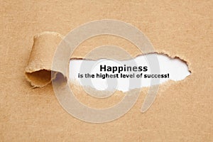 Happiness Is The Highest Level Of Success photo