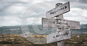 happiness sadness adversity text engraved on wooden signpost outdoors in nature.