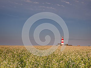 Happisburgh Lighthouse in warm sunlight.