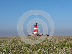 Happisburgh Lighthouse in warm sunlight.