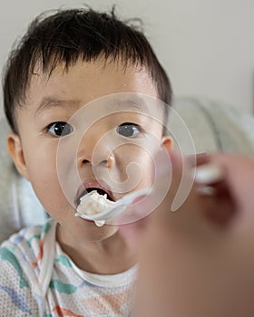 Happy 1-2 years old child enjoying his lunch