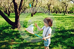 Happy 3 years old child boy catching butterflies with net on the walk in sunny garden or park