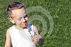 Happy 4 years old boy sniffing a flower on a green field.