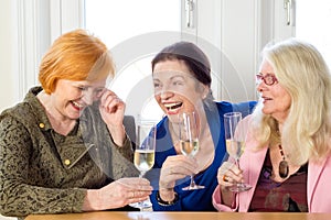 Happy Adult Friends Relaxing with Glasses of Wine