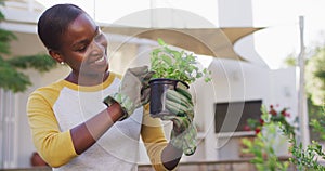 Happy african amercian woman gardening holding pot plant in garden