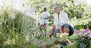 Happy african american senior couple gardening in sunny garden, slow motion